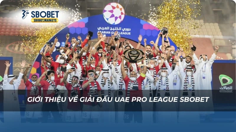 UAE Pro League Sbobet Giới thiệu về giải đấu UAE Pro League Sbobet
