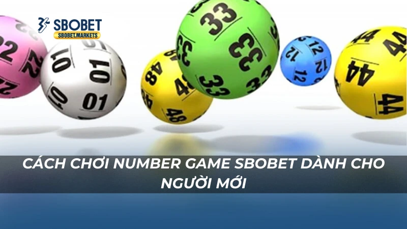 Number Game Sbobet Cách chơi Number Game Sbobet dành cho người mới