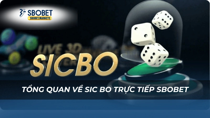 Sic Bo trực tiếp Sbobet Tổng quan về Sic Bo trực tiếp Sbobet