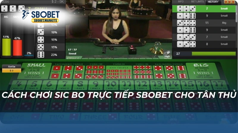Sic Bo trực tiếp Sbobet Cách chơi Sic Bo trực tiếp Sbobet cho tân thủ
