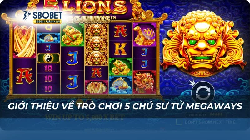 5 Chú Sư Tử Megaways - Trải Nghiệm Slot Game Siêu Độc Đáo 2 Giới thiệu về trò chơi 5 Chú Sư Tử Megaways