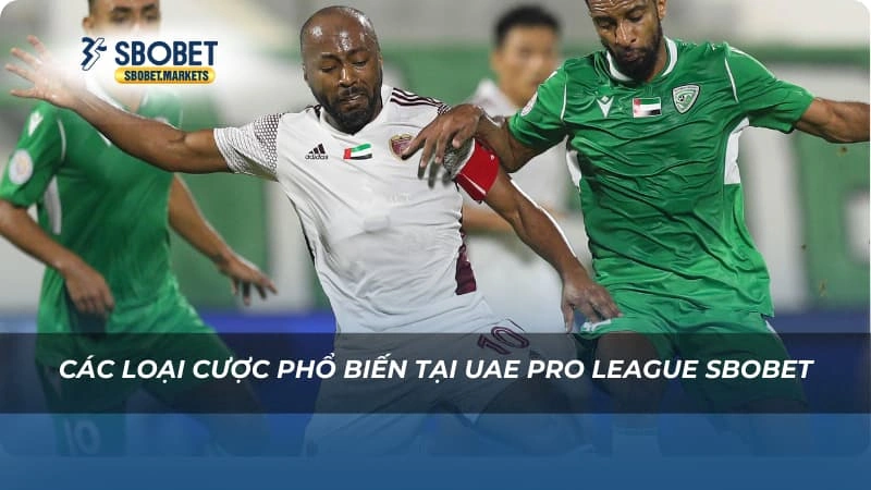 UAE Pro League Sbobet Các loại cược phổ biến tại UAE Pro League Sbobet