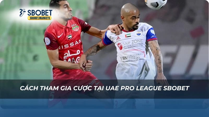 UAE Pro League Sbobet Cách tham gia cược tại UAE Pro League Sbobet