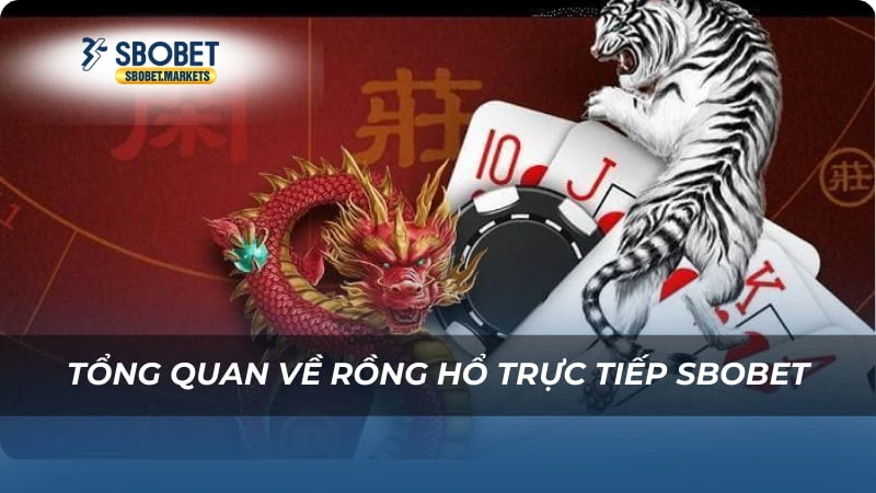 Rồng hổ trực tiếp Sbobet Tổng quan về Rồng hổ trực tiếp Sbobet