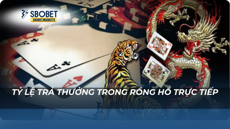 Rồng hổ trực tiếp Sbobet Tỷ lệ trả thưởng trong Rồng hổ trực tiếp
