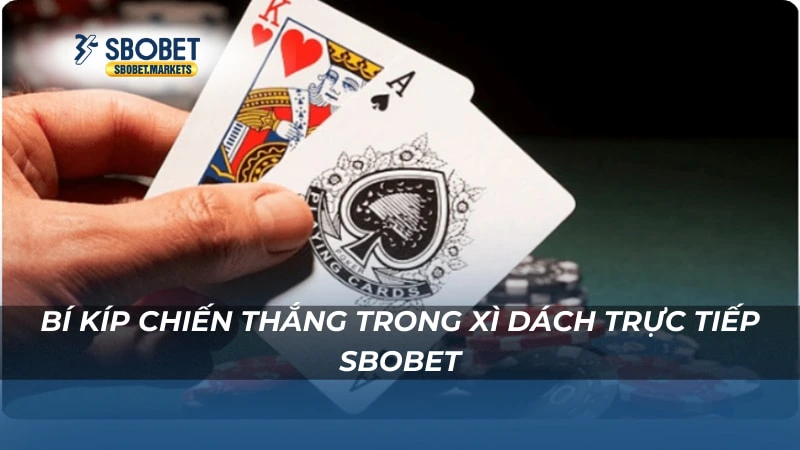 Xì dách trực tiếp Sbobet Bí kíp chiến thắng trong Xì dách trực tiếp Sbobet